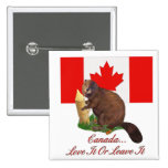 Love It or Leave It Pins