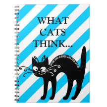 Love letter from my cat: cat etiquette note books