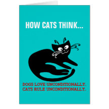 Love letter from my cat: obedience training card