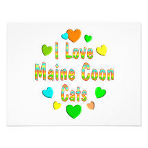 Love Maine Coon Cats Announcement