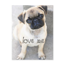 love me - cute mops post cards