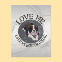 Love me, love my border collie postcards