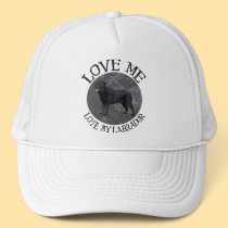Love me, love my Labrador hats