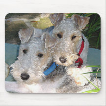Love Mousepads