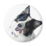 Love My Aussie Fridge Magnet