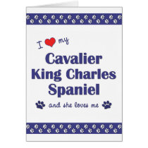 Love My Cavalier King Charles Spaniel (Female Dog) Card