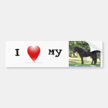 Love my Dales Pony bumpersticker Bumper Stickers