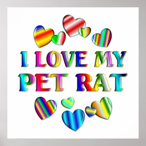 Love My Rat Poster