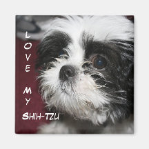 Love My Shih-Tzu Magnets