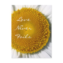 Love Never Fails Daisy 1 Corinthians 13