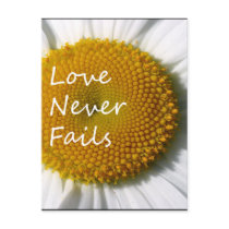 Love Never Fails Daisy 1 Corinthians 13