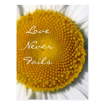 Love Never Fails Daisy 1 Corinthians 13 Postcard