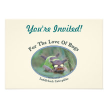 Love Of Bugs Caterpillar Custom Announcements