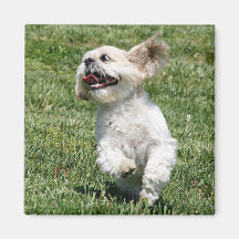 Love of life fridge magnet