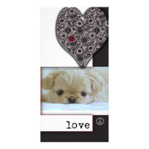 Love, peace and dogs photo cards