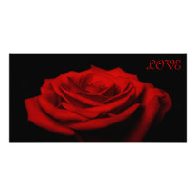Love petals - Red rose Personalized Photo Card