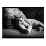 Love Post Card