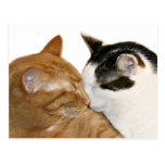 Love Post Cards