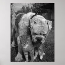 love poster