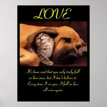LOVE Posters Animal 3