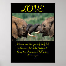 LOVE Posters Animal 6