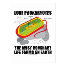 Love Prokaryotes Most Dominant Life Forms On Earth Post Cards
