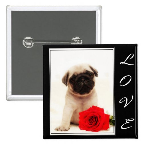 Love Pug puppy button