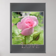 Love Rose Poster