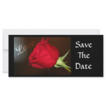 Love Rose rack cards
