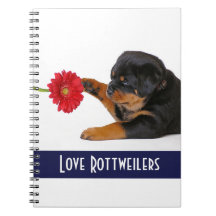 Love Rottweilers Puppy Dog with Daisy Notebook