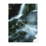 LOVE SONG POSTCARDS