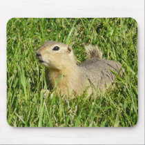 Love That Sunshine! mousepads