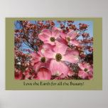 Love the Earth for all the Beauty! prints Dogwoods