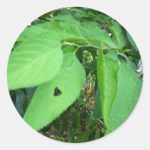love tree sticker