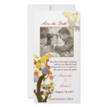 Love Trees: Save the Date Photo Cards photo cards