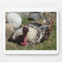 love turkeys don't eat them mouse pad