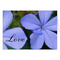 Love Wedding Congratulations cards