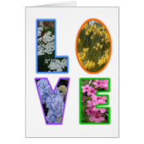 Love with Flowers Greeting Card