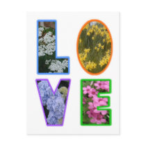 Love with Flowers Postcard