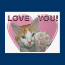 Love You - Cat postcards
