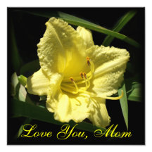 Love You Mom: Yellow Daylily, Mother's Day Photo Print