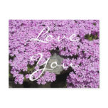 Love You Postcard
