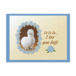 Love Your Fluff 2