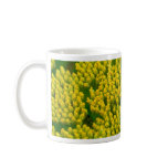 Lovebug - Marienkäfer Tasse