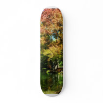 Lovely Autumn Reflections