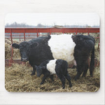 Lovely Beltie Cow and Calf Mouse Pad