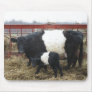 Lovely Beltie Cow and Calf Mouse Pad