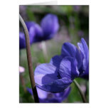 Lovely Blue Greeting Cards