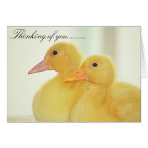 Lovely Card