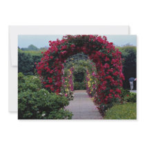 Lovely Climbing Rose Arches Announcement